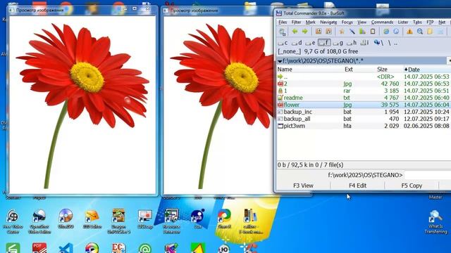 os003 стеганография в командной строке смотреть онлайн