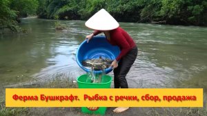 Ферма Бушкрафт в Пханге. Вьетнам.  Рыбка с речки, сбор, продажа