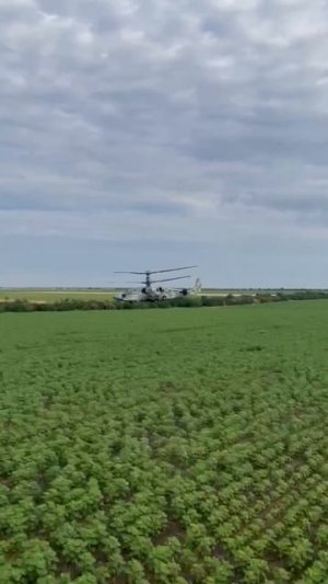 Красавец Ка-52 «Аллигатор»  мчится над полями Необъятной