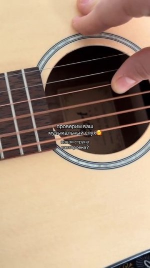 смешное видео