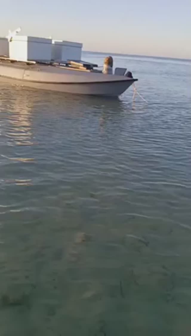 Один из уцелевших украинских БЭК-носителей, участвовавших в атаке на Туапсе смотреть онлайн