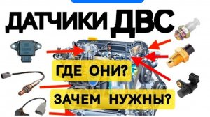 7 Основных датчиков авто. За что отвечают? Где находятся? Признаки неисправности.