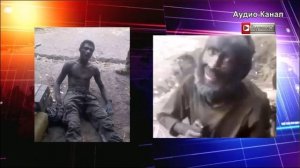 Попов: выживавшие два месяца под танком бойцы могли питаться ужами, лягушками: НОВОСТЬ ДОПОЛНЕНИЕ