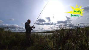 Осенняя щука. Поймал и съел. Всё просто!