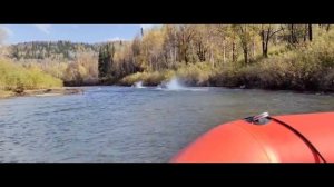 Болотоходы