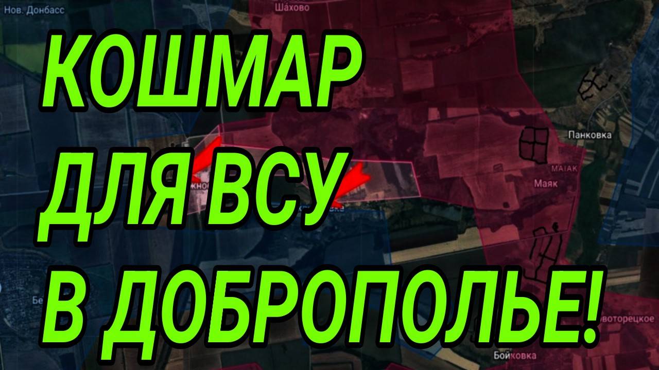 КОШМАР ДЛЯ ВСУ В ДОБРОПОЛЬЕ! УСПЕХИ ВС РФ В СУМСКОЙ И ЗАПОРОЖСКОЙ ОБЛАСТИ. ВОЕННЫЕ СВОДКИ смотреть онлайн