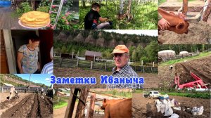 Уехала наша красавица, а мы картошку копать