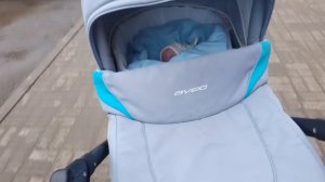 утро с реборном лукасом/16 11 2024/прогулка