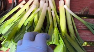 Последние приготовления к закрытию дачного сезона 2025г.