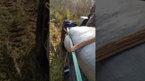 за клюквой на болотоходе # болотоход #бездорожье