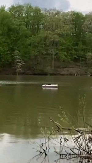 смешное видео