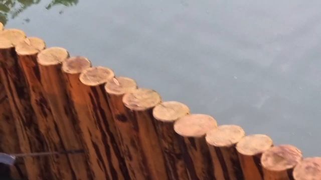 Video5453904735528583228