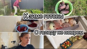 ВЫКОПАЛА СВЕКЛУ И ЗАГОТОВИЛА ЕЕ НА ЗИМУ// ПОЛНЫЕ МОРОЗИЛКИ// НЕ ВКУСНЫЕ ОГУРЦЫ