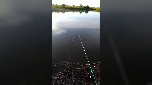 Летняя рыбалка с внуком смотреть онлайн