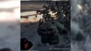 DJ BNF ORIGINAL – SUBQUANTICO INVERSO 3 x CHESHIRE CAT🖤