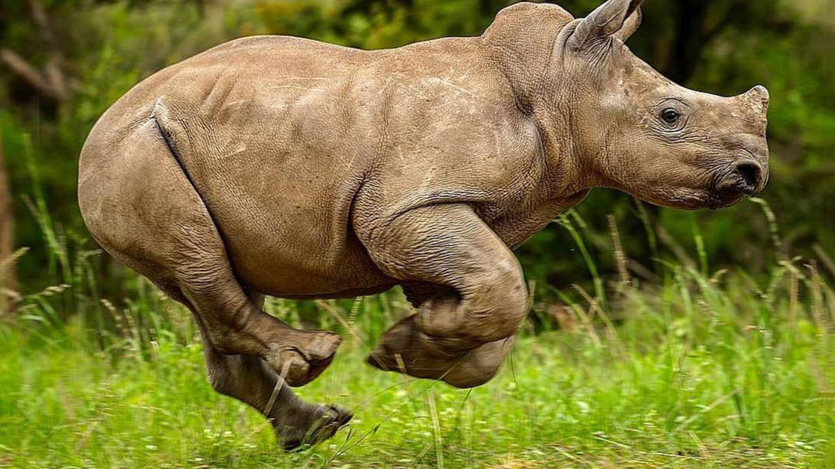 Международный день права знать смотреть онлайн