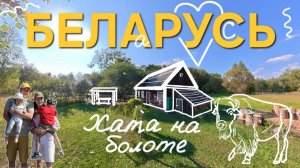 Обзор усадьбы «Хата на болоте» и «Старое гнездо» в Беловежской пуще. Дорога к Зубрам!