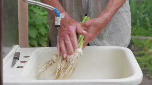 Навещайте, пока у вас есть кого навещать