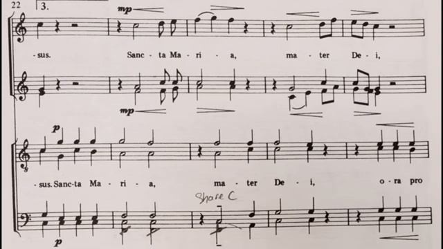 F.Beibl "Ave Maria" - Bass.mp4 смотреть онлайн