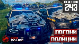 Полицейские погони: Наркодилер [Выпуск 243 2025]