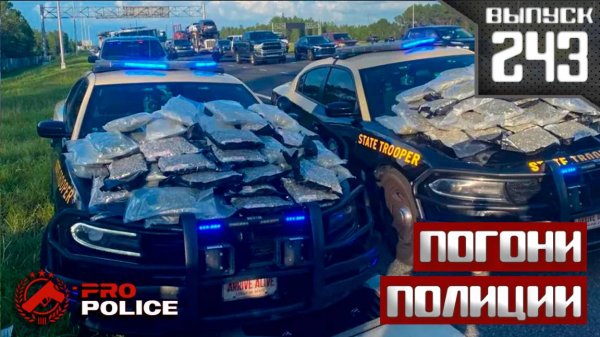 Полицейские погони: Наркодилер [Выпуск 243 2025]
