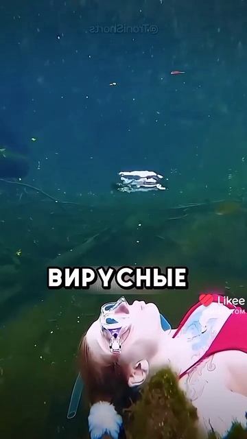 на мой Telegram канал ссылка в описании