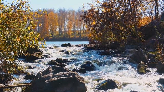 Знаешь осень...🍁 смотреть онлайн