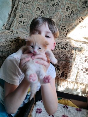 всем привет