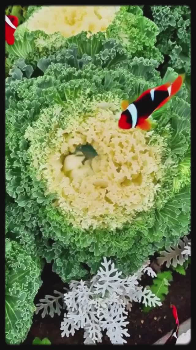 Хорошего настроения! смотреть онлайн