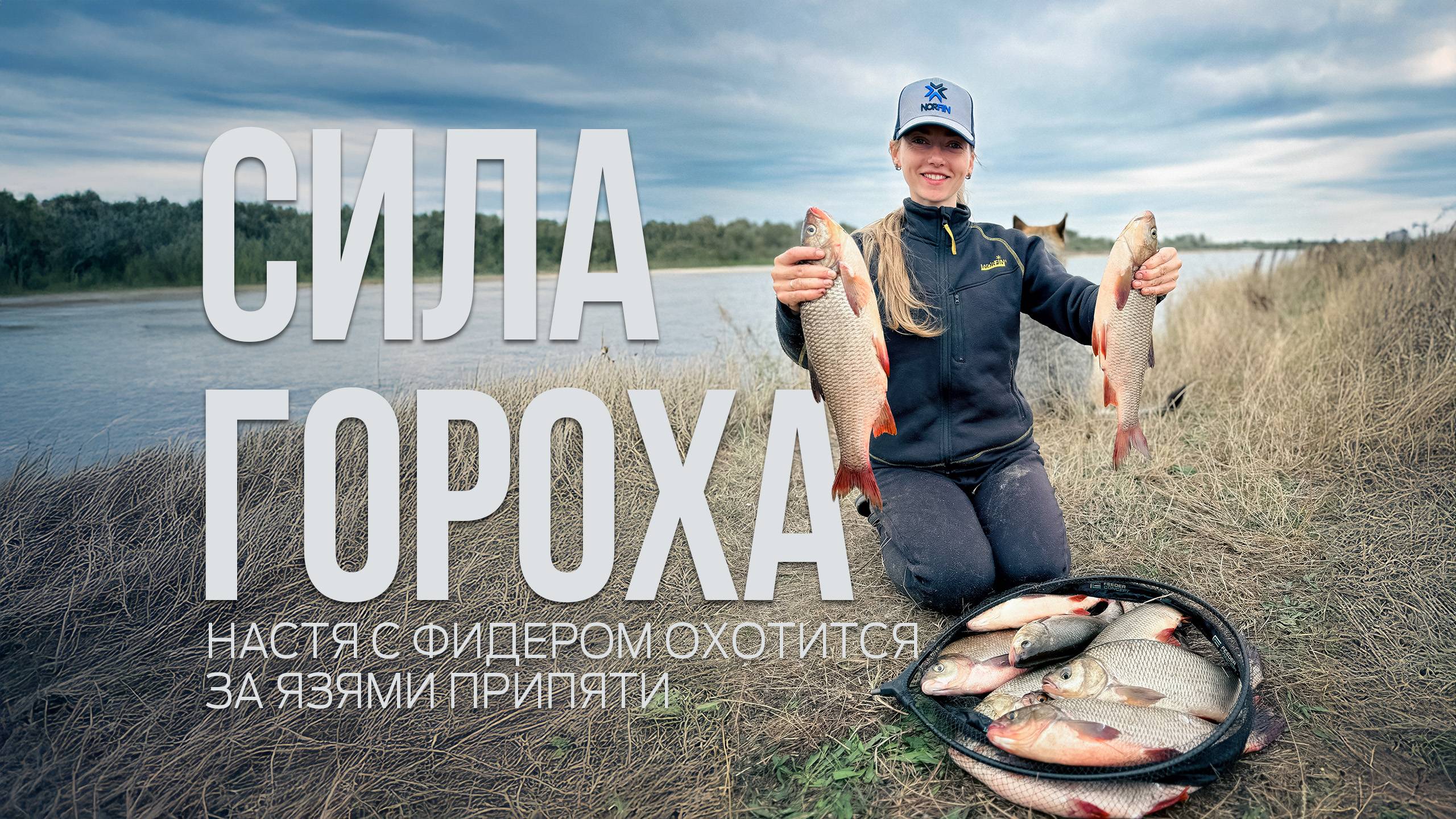 ЯЗИ на фидер! Рыбалка мечты на реке Припять. Лещ и язи на горох! смотреть онлайн