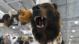 Ножи на выставке Мир охоты и рыбалки на Руси осень 2025 год, продолжение.