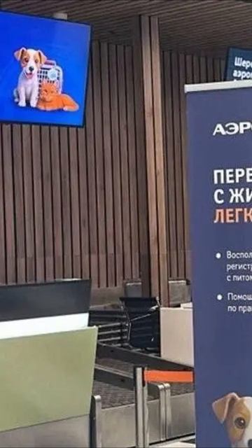 Стойка для пассажиров с животными у Аэрофлота
