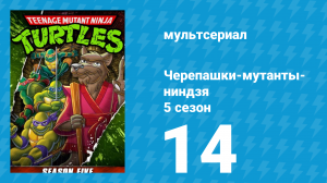 Черепашки-мутанты-ниндзя 5 сезон 14 серия (мультсериал, 1991)