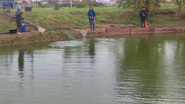 WhatsApp Video 2025-09-28 at 09.49.14 смотреть онлайн