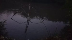 рыбалка на огромный паук подъемник, сомы, чехонь