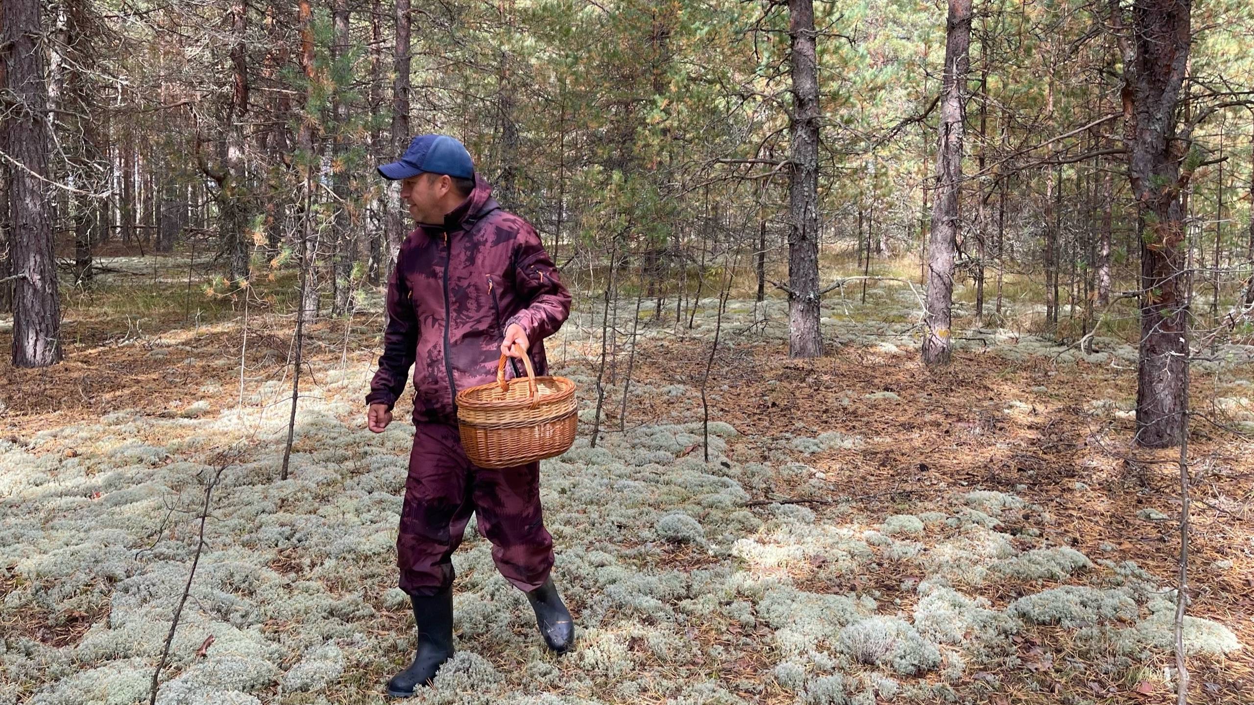 БОРОВИКИ ПРОДОЛЖАЮТСЯ! 28 Сентября. Белые грибы 2025 смотреть онлайн