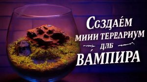 Террариум для краба Вампира