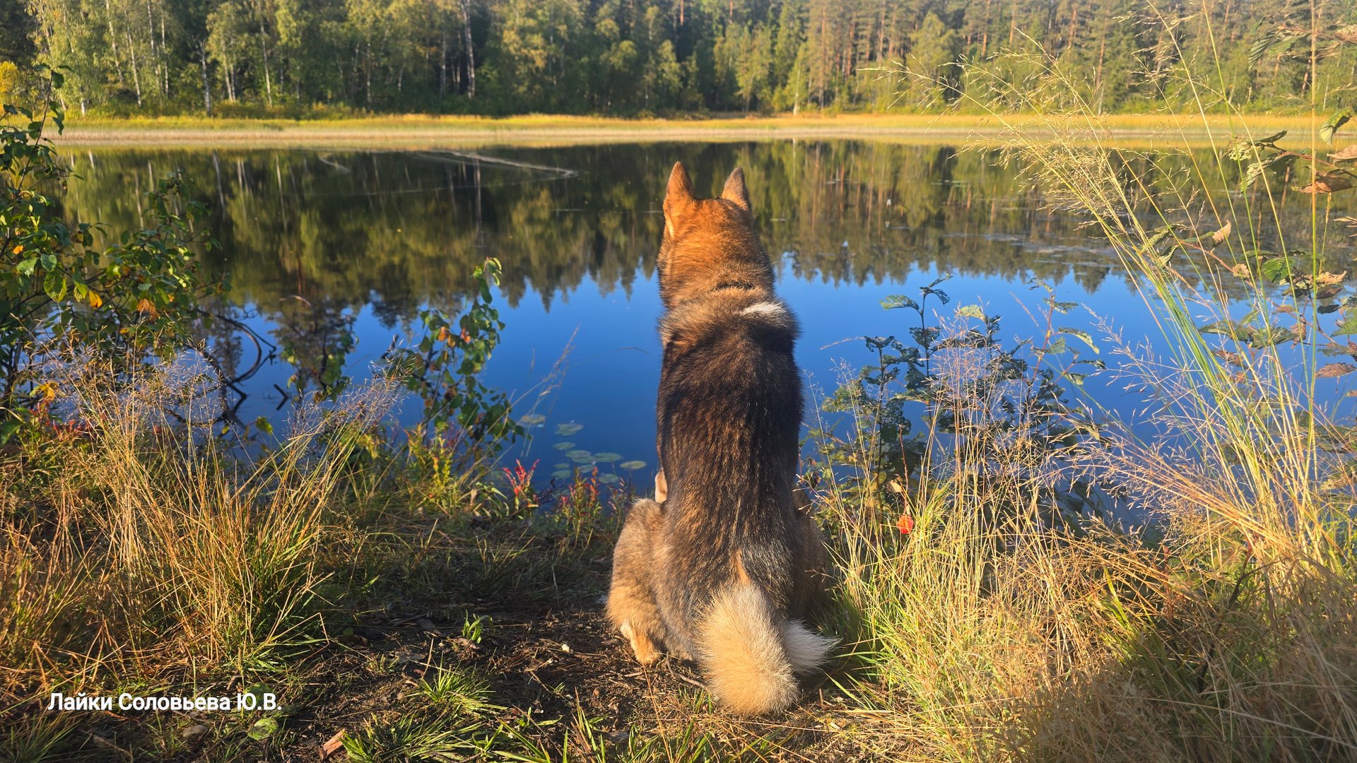Остались одни в тайге