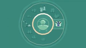 Давид, Царь — Священник