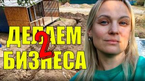 Ставим септик в зону отдыха. Продаём огурцы. Высадили капусту.