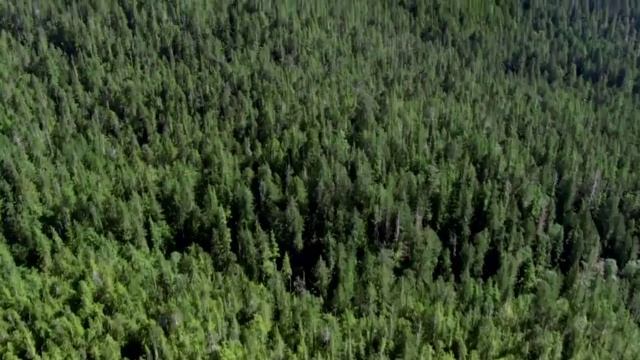 Смотреть всем! Красоты природы смотреть онлайн