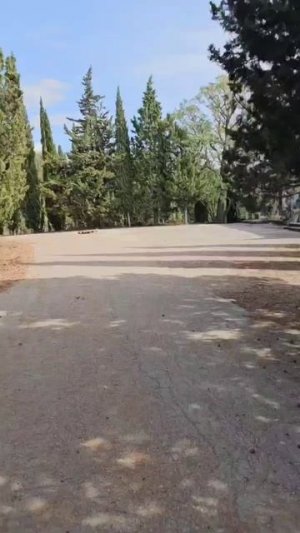 Крым Здесь живет Богатырская Сила