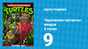 Черепашки-мутанты-ниндзя 5 сезон 9 серия (мультсериал, 1991)