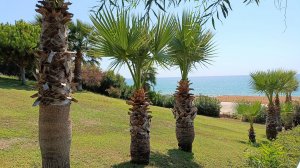 Отель Numa Club Side, Турция. Самый честный видео отзыв. Обзор пляжа отеля