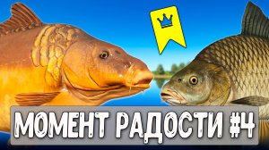 У них были дикие размоты но подписчики справились #рр4
