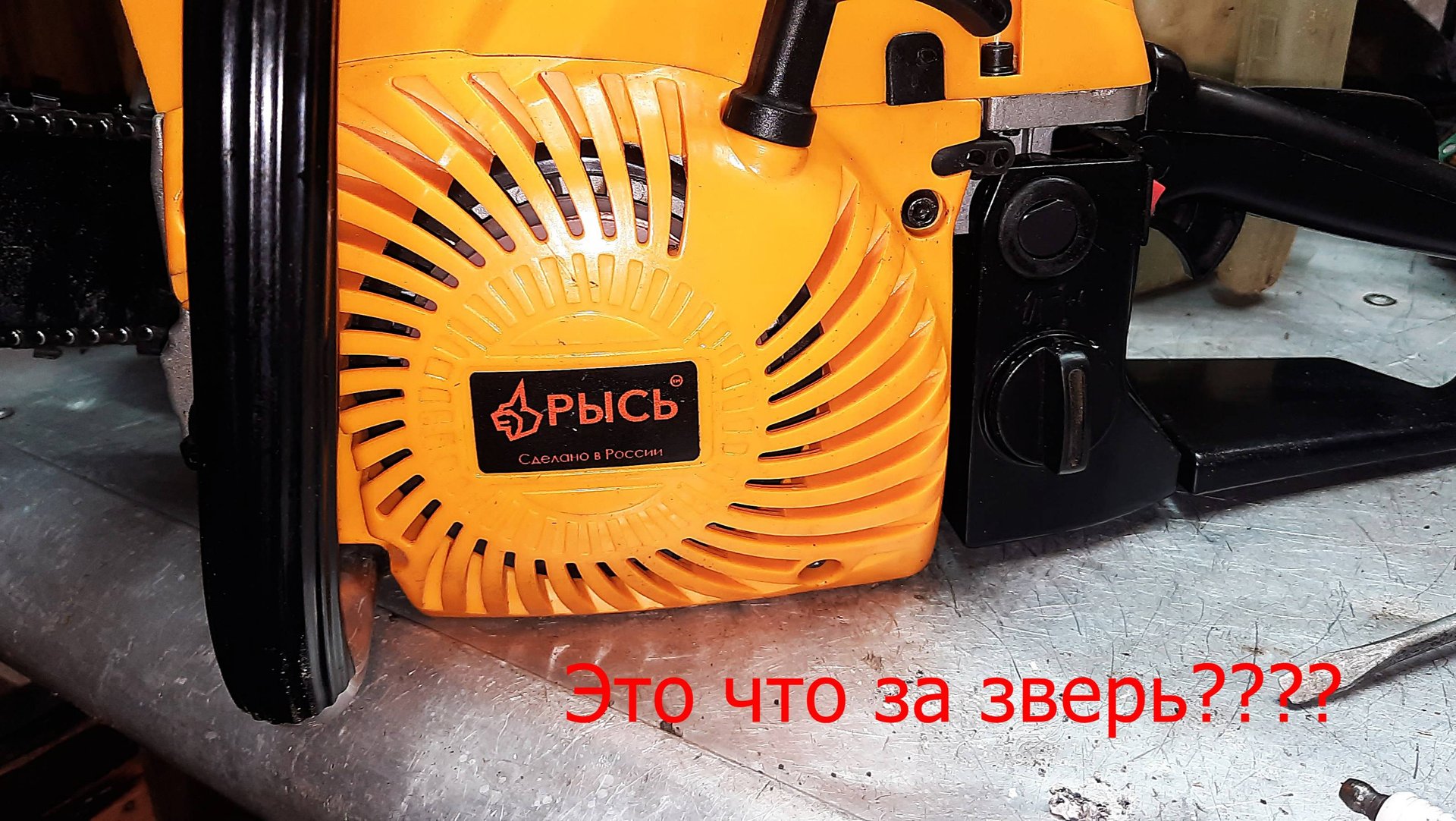 Бензопила Рысь!!!Вот это зверь!Новая а уже не работает. смотреть онлайн