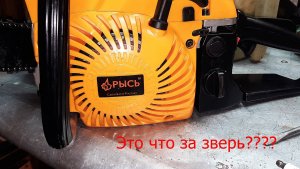 Бензопила Рысь!!!Вот это зверь!Новая а уже не работает.