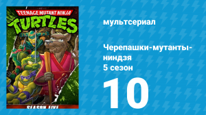 Черепашки-мутанты-ниндзя 5 сезон 10 серия (мультсериал, 1991)