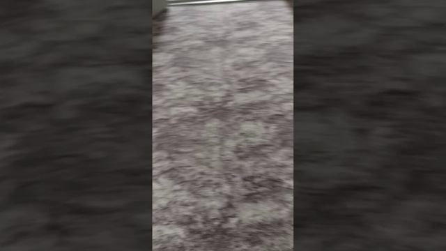 знакомство с васильком.