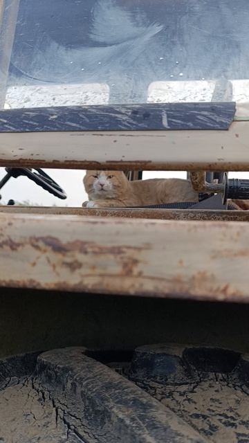 Тракторист